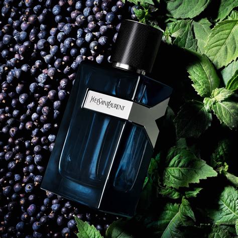 ysl y ingredients